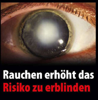 1-7_web
